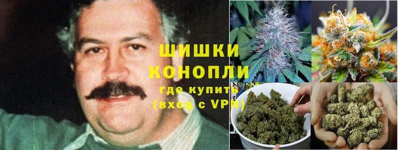 цены   Котлас  Шишки марихуана SATIVA & INDICA 